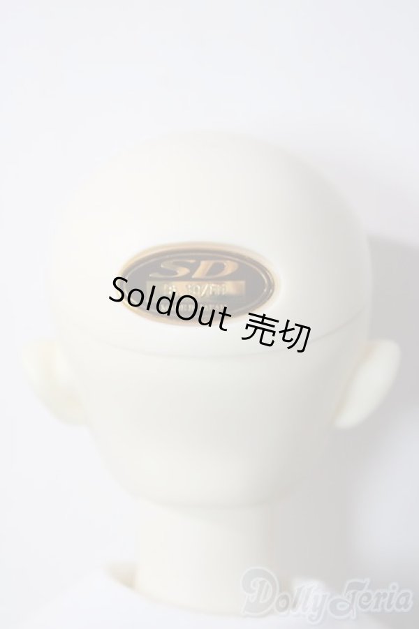 画像4: SD13女の子/F-43：オーダーメイク　PSホワイト U-25-04-01-219-KD-ZU (4)