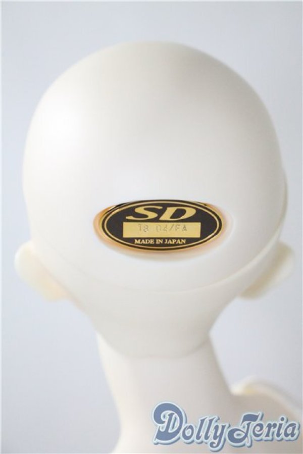 画像4: SDGIRL/フルチョイスF-60(ここタイプ) U-25-04-01-220-NY-ZU (4)