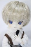 画像1: DOLLCE/ミニスウィーツドール：スノーディル/ A-25-03-19-268-KD-ZA (1)