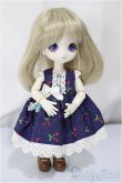 画像2: DOLLCE/ミニスウィーツドール：スノーシナモン/ A-25-03-19-274-KD-ZA (2)