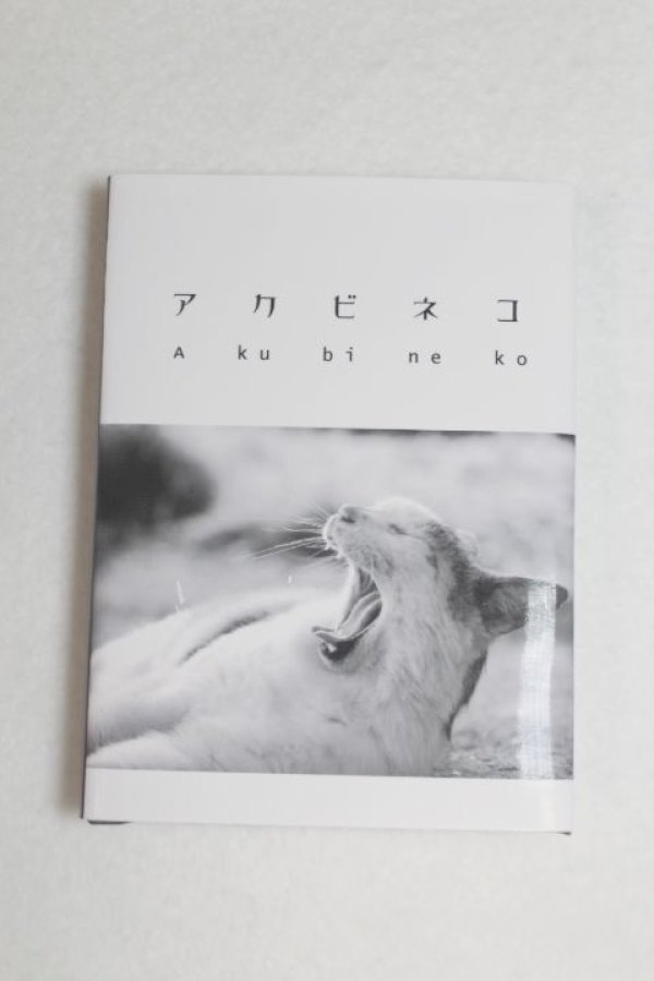 画像1: SD/豆本/0 A-25-04-02-035-NY-ZA (1)