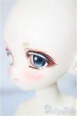 画像4: Tinyfox/デビー/BJD　球体関節人形 A-25-03-26-117-KD-ZA (4)