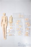 画像1: 1/6ボディ　パーツセット/0 A-25-03-26-228-KD-ZA (1)