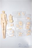 画像2: 1/6ボディ　パーツセット/0 A-25-03-26-228-KD-ZA (2)