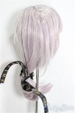 画像3: 8-9inch/ウィッグ/インチ　BJD　MJD　ドール用 A-25-03-26-272-NY-ZA (3)