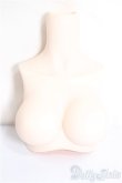 画像1: MDD2.0-B-L-SW/上半身パーツ　L胸/0 A-25-03-26-273-NY-ZA (1)