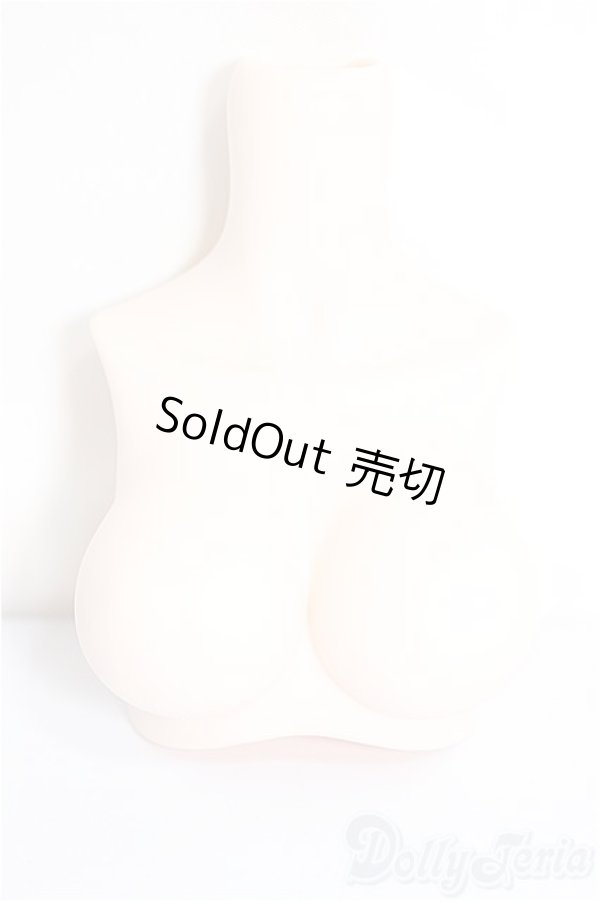 画像1: MDD2.0-B-L-SW/上半身パーツ　L胸/0 A-25-03-26-273-NY-ZA (1)