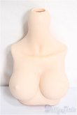 画像1: MDD/上半身パーツ　L胸/0 A-25-03-26-274-NY-ZA (1)