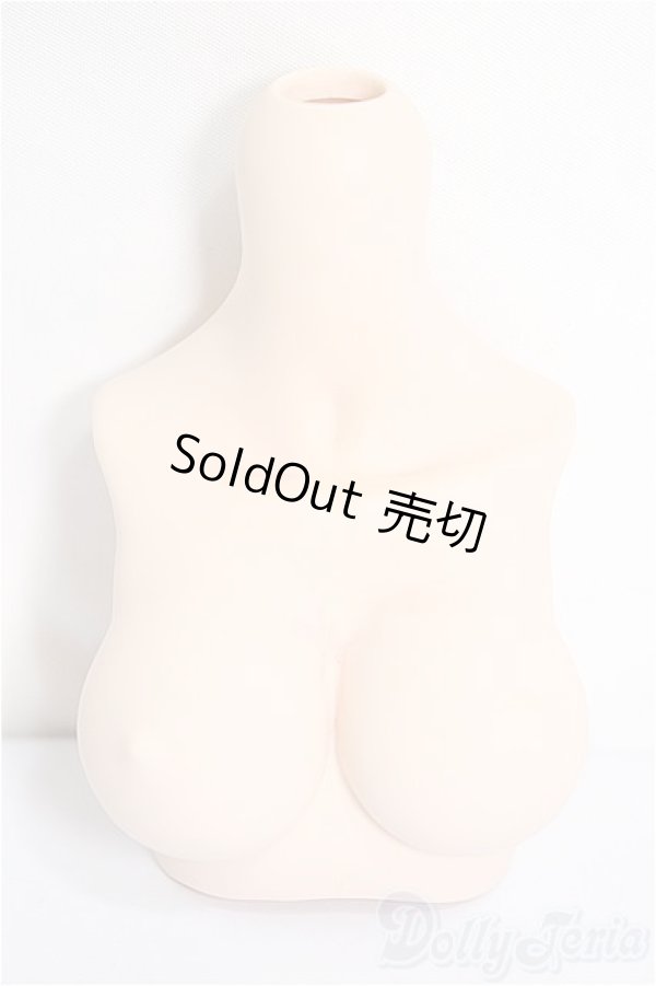 画像1: MDD/上半身パーツ　L胸/0 A-25-03-26-274-NY-ZA (1)