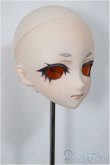 画像2: DD/DDH-09 カスタムヘッド/BJD　球体関節人形 A-25-04-02-126-NY-ZA (2)