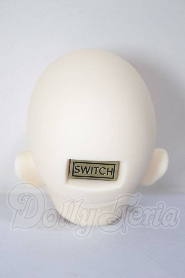 画像4: SWITCH /TAEO Head A-26-05-19-210-NY-ZA (4)