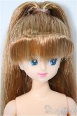 画像1: キャッスル/ジェニーフレンド ジュディ/BJD　球体関節人形 A-25-04-02-120-NY-ZA (1)