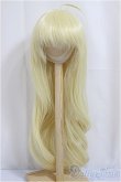 画像1: 8-9inch/ウィッグ　Nemurumori&Luna様製/インチ　BJD　MJD　ドール用 A-25-04-02-161-NY-ZA (1)