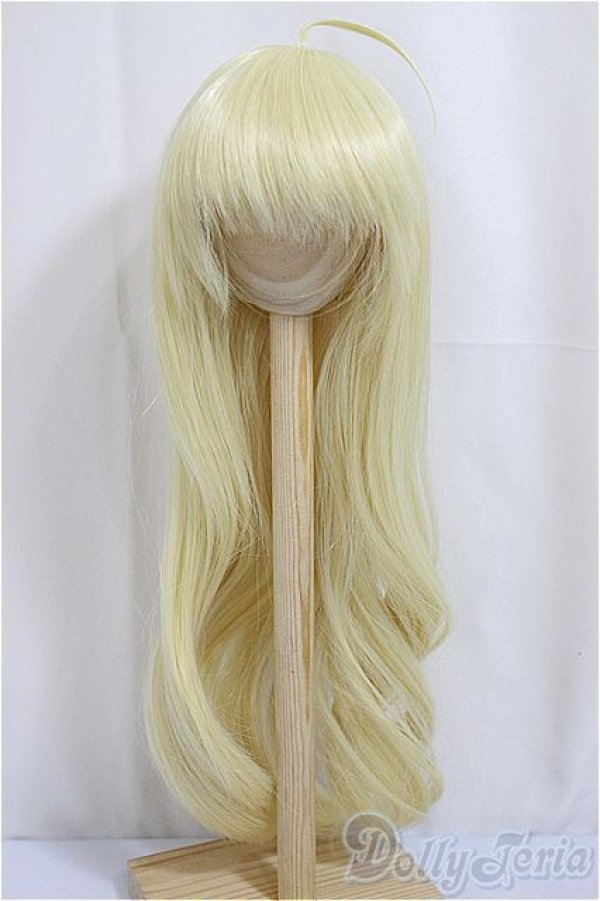 画像1: 8-9inch/ウィッグ　Nemurumori&Luna様製/インチ　BJD　MJD　ドール用 A-25-04-02-161-NY-ZA (1)