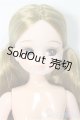 画像: リカちゃんキャッスル/2019年度版神戸三宮アイコンモデル　リカちゃん/BJD　球体関節人形 A-25-04-02-252-NY-ZA