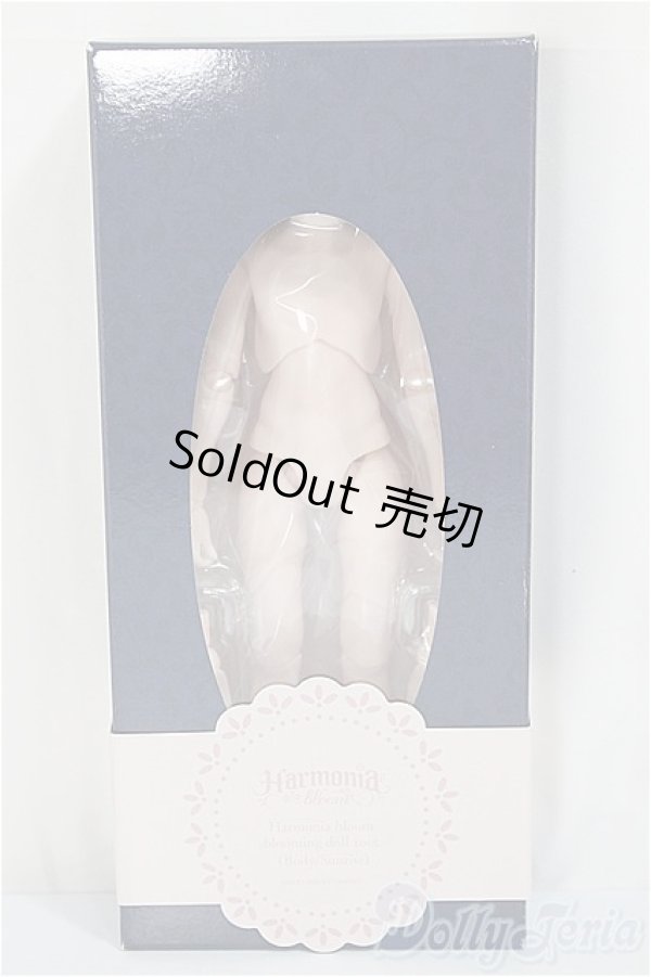 画像1: Harmonia bloom blooming doll root(Body) (ハルモニア ブルーム ブルーミング ドール ルート ボディ)/0 A-25-04-02-156-KD-ZA (1)