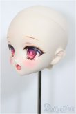 画像3: DDH-22/カスタムヘッド　ALINA様製/BJD　球体関節人形 A-25-04-02-274-NY-ZA (3)