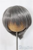 画像1: 8-9inch/ウィッグ/インチ　BJD　MJD　ドール用 A-25-04-02-216-NY-ZA (1)