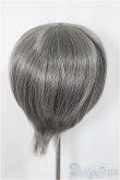 画像2: 8-9inch/ウィッグ/インチ　BJD　MJD　ドール用 A-25-04-02-216-NY-ZA (2)