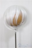 画像1: 8-9inch/ウィッグ/インチ　BJD　MJD　ドール用 A-25-04-02-214-NY-ZA (1)