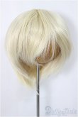 画像1: 9-10inch/ウィッグ　BJD CROBI製/インチ　BJD　MJD　ドール用 A-25-04-02-221-NY-ZA (1)