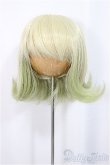 画像1: 8-9inch/ウィッグ　みさんとるーぷ 様製/インチ　BJD　MJD　ドール用 A-25-04-02-208-NY-ZA (1)
