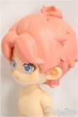 画像3: SIMONTOYS　ペテルソン園遊会/キツネ/ A-25-04-02-303-NY-ZA (3)