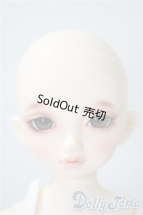 画像1: SDM/のあ　スタンダードモデル A-25-04-08-213-NY-ZA (1)