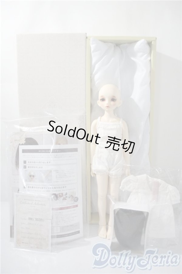 画像7: SDM/のあ　スタンダードモデル A-25-04-08-213-NY-ZA (7)