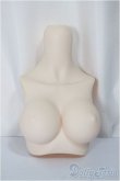 画像1: MDD/上半身パーツ/0 A-25-04-02-348-NY-ZA (1)