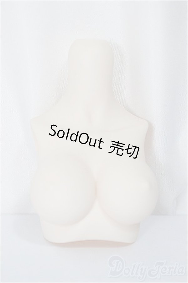 画像1: MDD/上半身パーツ/0 A-25-04-02-348-NY-ZA (1)