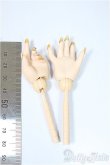 画像2: MDD/ネイル付きハンドパーツ/0 A-25-04-02-345-NY-ZA (2)