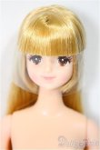 画像1: ジェニーフレンド/アベル/BJD　球体関節人形 A-25-04-09-126-NY-ZA (1)