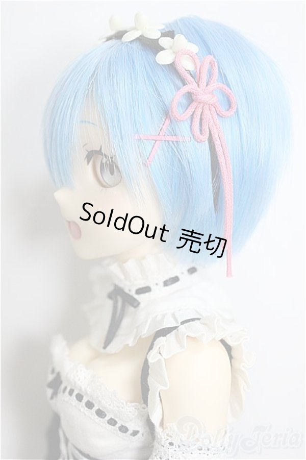 画像3: Cerberus Project/Re:ゼロから始める異世界生活 レム(ドール)/ A-25-04-09-169-KD-ZA (3)