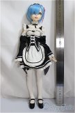 画像5: Cerberus Project/Re:ゼロから始める異世界生活 レム(ドール)/ A-25-04-09-169-KD-ZA (5)