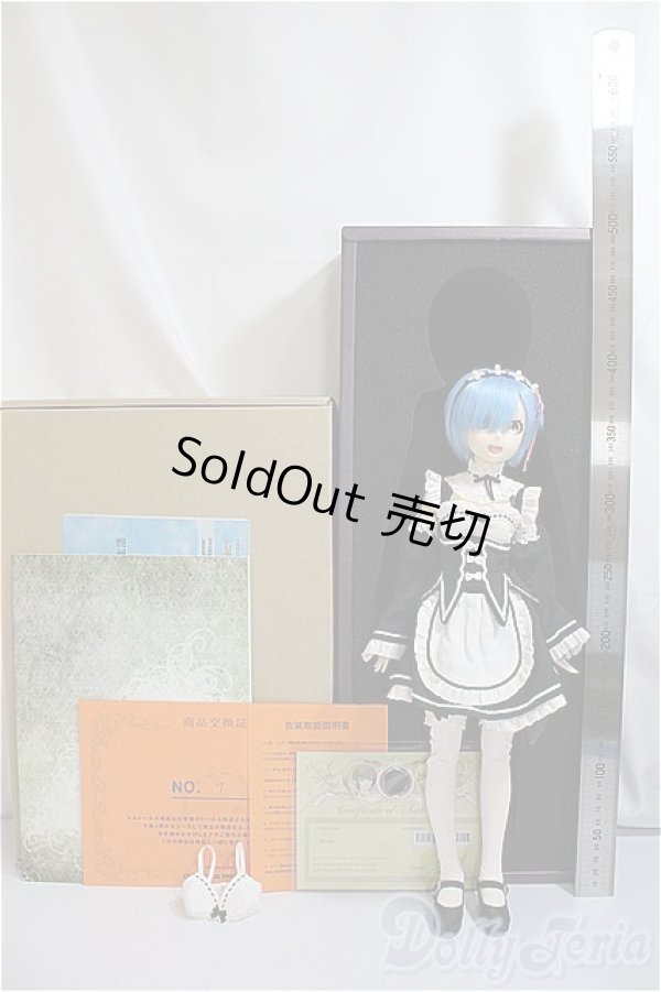 画像7: Cerberus Project/Re:ゼロから始める異世界生活 レム(ドール)/ A-25-04-09-169-KD-ZA (7)