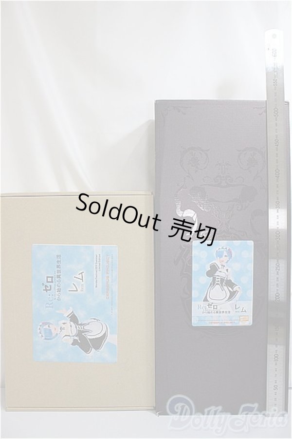 画像8: Cerberus Project/Re:ゼロから始める異世界生活 レム(ドール)/ A-25-04-09-169-KD-ZA (8)