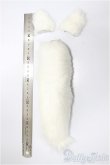 画像2: MDD/OF:白狐の耳＆しっぽセット　VOLKS/0 A-25-04-09-174-KD-ZA (2)