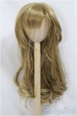 画像1: 8.5-9inch/ウィッグ/インチ　BJD　MJD　ドール用 A-25-04-09-232-NY-ZA (1)