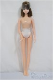 画像2: キャッスルジェニー/ジェニーフレンド:みらい/BJD　球体関節人形 A-25-04-09-267-NY-ZA (2)