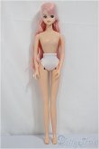 画像2: リカちゃんキャッスル/ジェニーフレンドH/BJD　球体関節人形 A-25-04-09-268-NY-ZA (2)