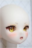 画像5: tinyfox/anna1/4/BJD　球体関節人形 A-25-04-09-340-NY-ZA (5)
