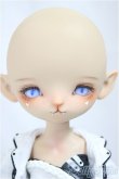 画像2: Coral Reef Doll/Hululu (狐??)/BJD　球体関節人形 A-25-04-16-150-NY-ZA (2)