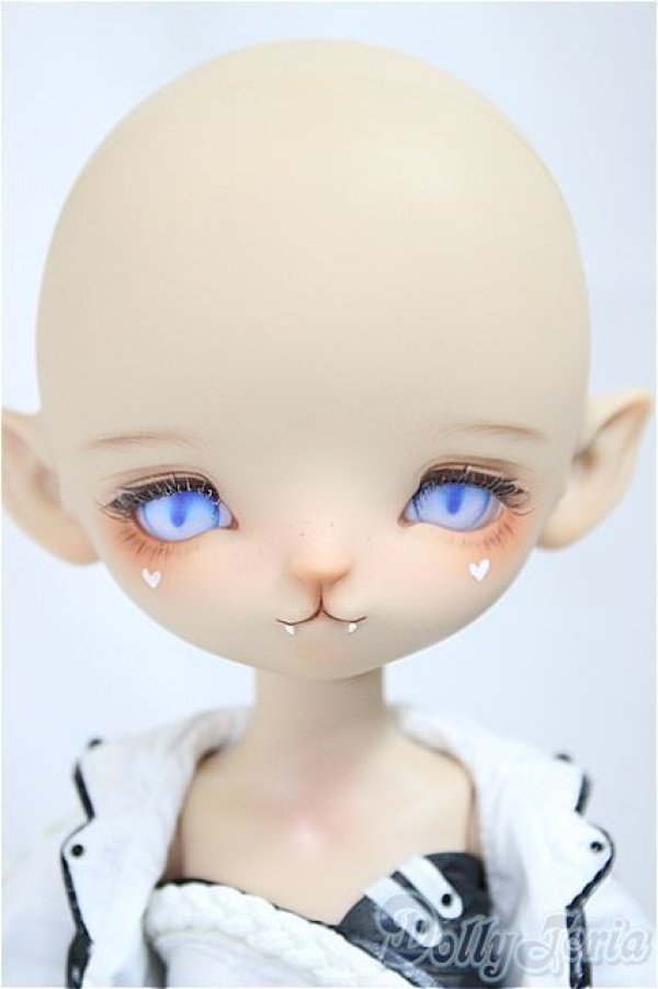 画像2: Coral Reef Doll/Hululu (狐??)/BJD　球体関節人形 A-25-04-16-150-NY-ZA (2)
