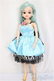 画像2: リカちゃん/本体＆衣装/BJD　球体関節人形 A-25-04-09-312-KD-ZA (2)