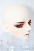 画像2: LUTS/Senior65 Delf DIEZ Romance　Limited　HEAD/BJD　球体関節人形 A-25-04-16-109-NY-ZA (2)