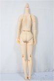 画像2: azone/ピュアニーモボディ ピュアニーモフレクション M/女の子ボディ/0 A-25-04-16-113-NY-ZA (2)