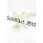 画像: ALBA-DOLL様製/管狐/ A-25-04-16-157-NY-ZA