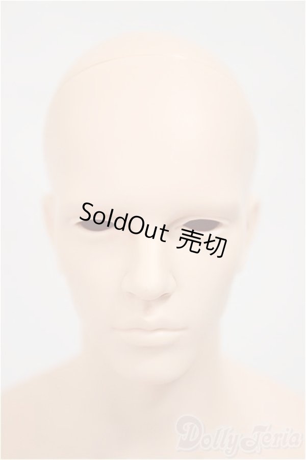 画像1: iplehouse/Lawrence ローレンス_F.I.D/BJD　球体関節人形 A-25-04-16-192-NY-ZA (1)