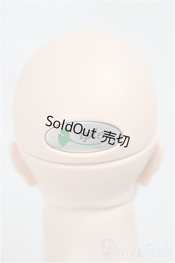 画像4: iplehouse/Lawrence ローレンス_F.I.D/BJD　球体関節人形 A-25-04-16-192-NY-ZA (4)